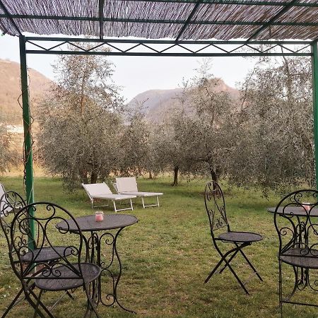 Agriturismo Conca Sandra - Farm Stay On Lake Como Perledo Exterior photo