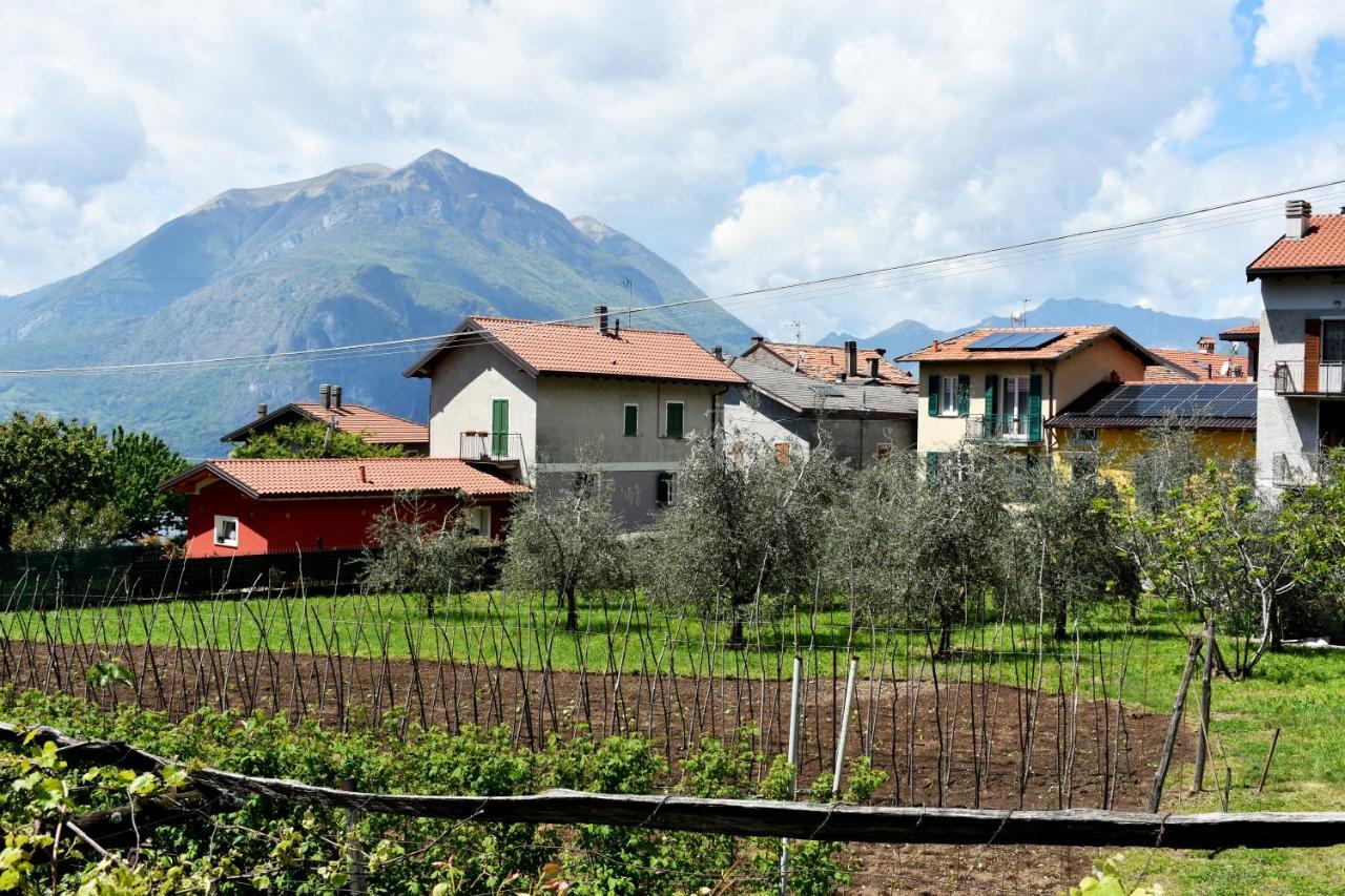 Agriturismo Conca Sandra - Farm Stay On Lake Como Perledo Exterior photo