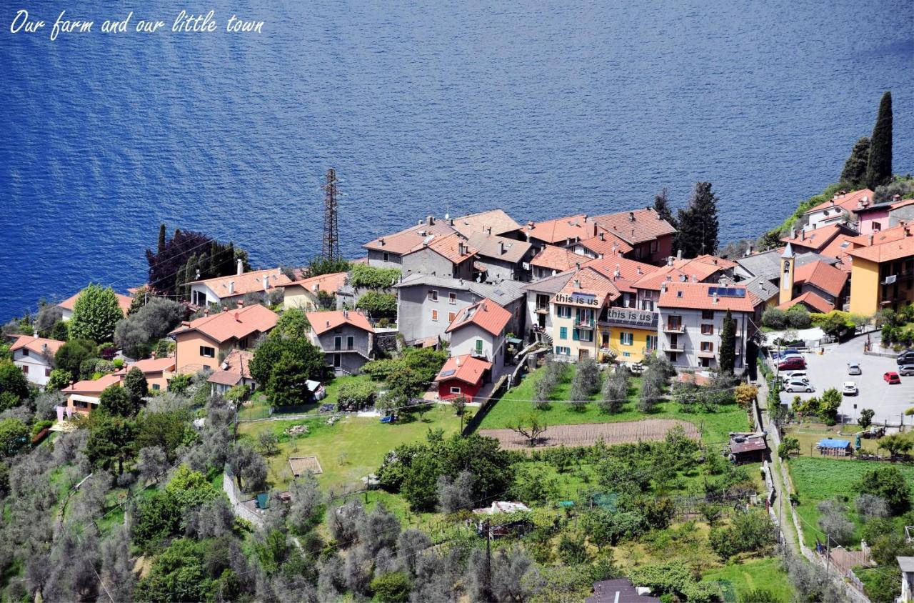 Agriturismo Conca Sandra - Farm Stay On Lake Como Perledo Exterior photo