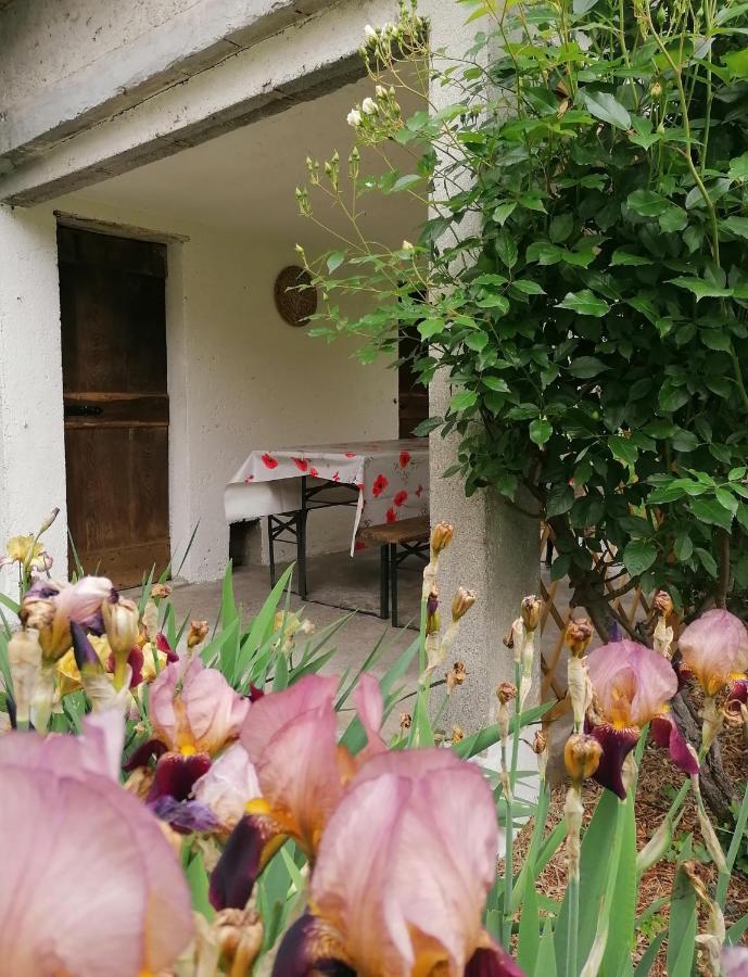 Agriturismo Conca Sandra - Farm Stay On Lake Como Perledo Exterior photo