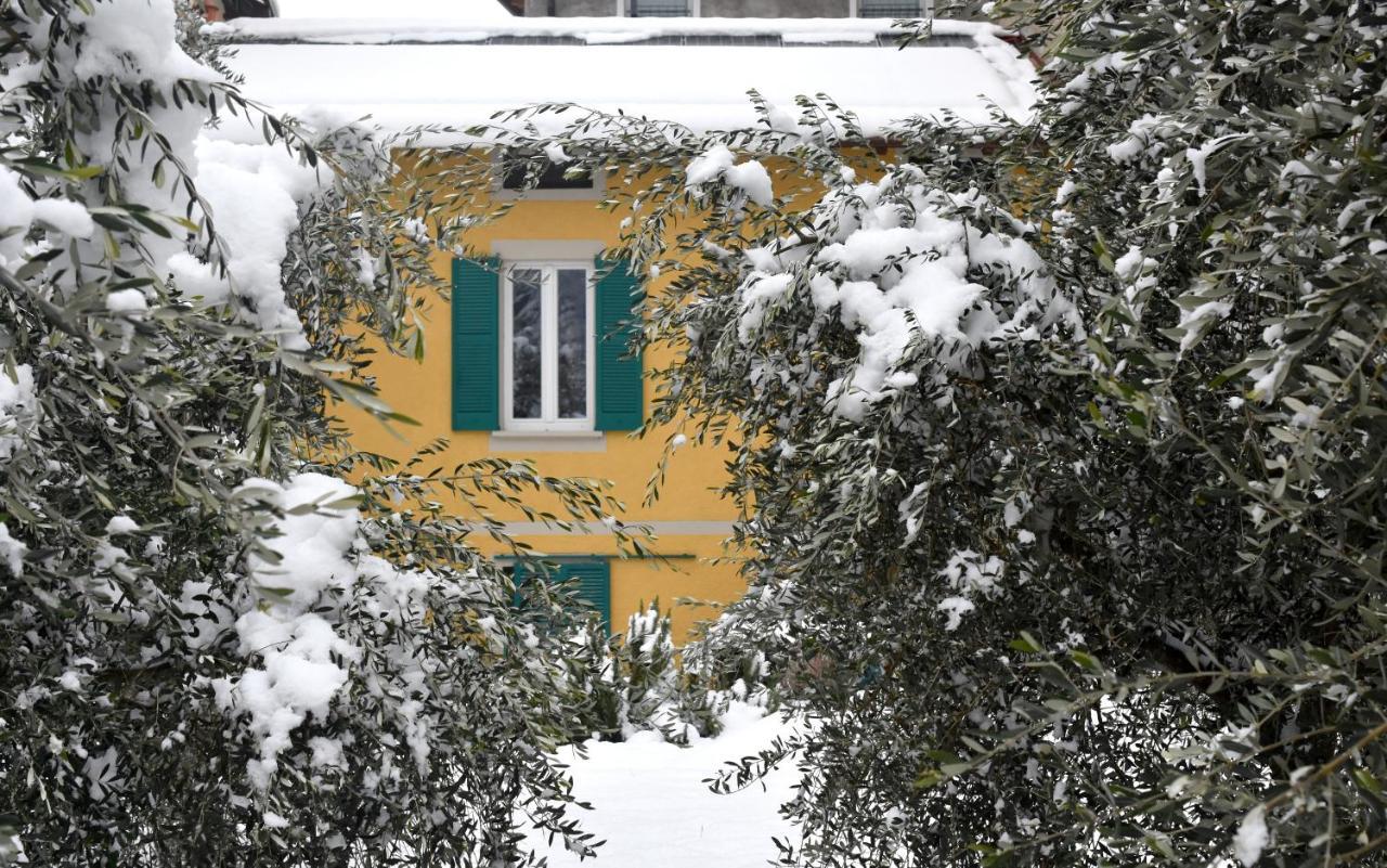 Agriturismo Conca Sandra - Farm Stay On Lake Como Perledo Exterior photo