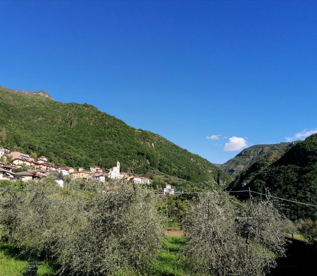 Agriturismo Conca Sandra - Farm Stay On Lake Como Perledo Exterior photo