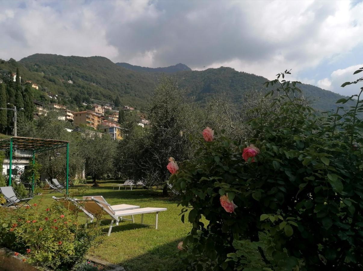 Agriturismo Conca Sandra - Farm Stay On Lake Como Perledo Exterior photo