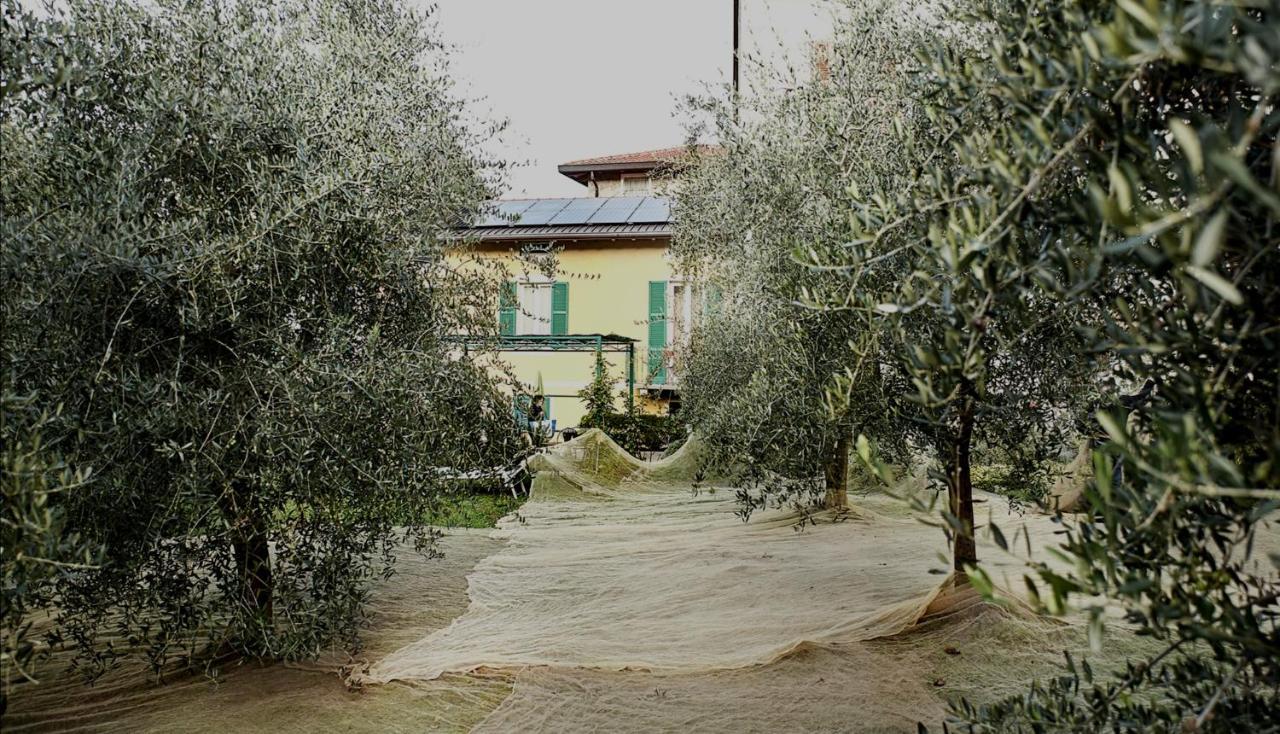Agriturismo Conca Sandra - Farm Stay On Lake Como Perledo Exterior photo