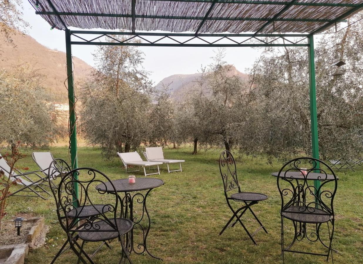 Agriturismo Conca Sandra - Farm Stay On Lake Como Perledo Exterior photo
