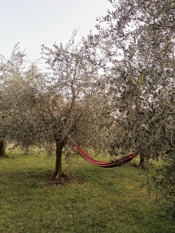 Agriturismo Conca Sandra - Farm Stay On Lake Como Perledo Exterior photo