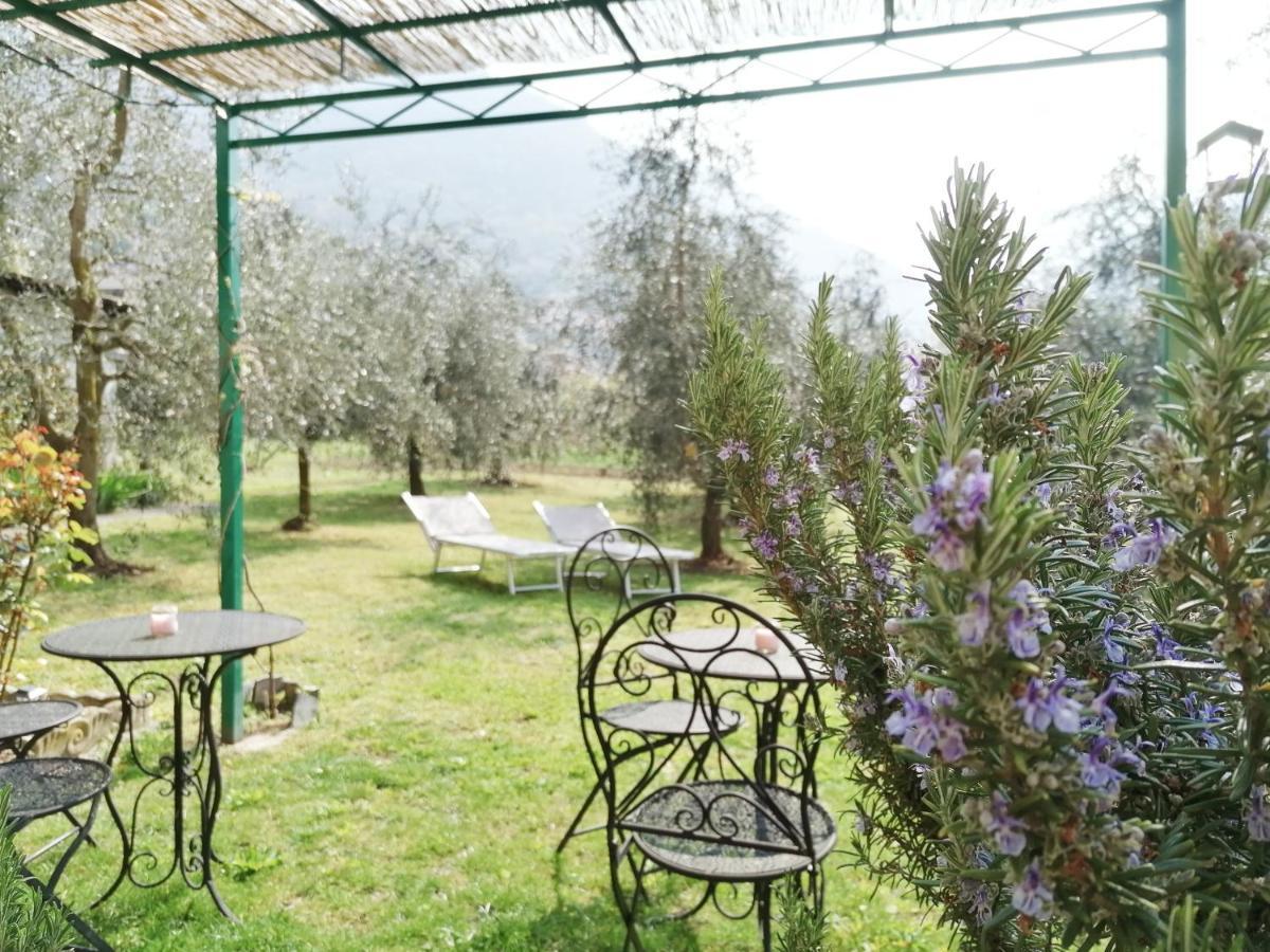 Agriturismo Conca Sandra - Farm Stay On Lake Como Perledo Exterior photo
