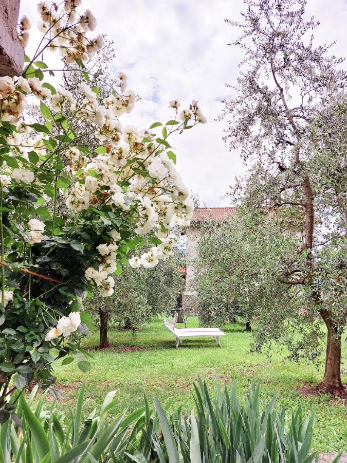 Agriturismo Conca Sandra - Farm Stay On Lake Como Perledo Exterior photo